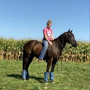 Meet your Posher, Danika